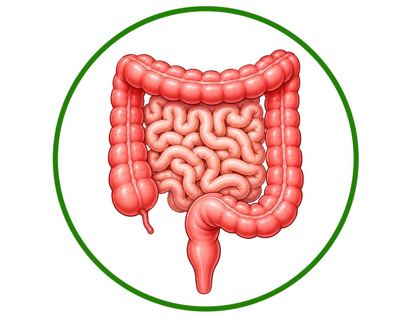 ibs
